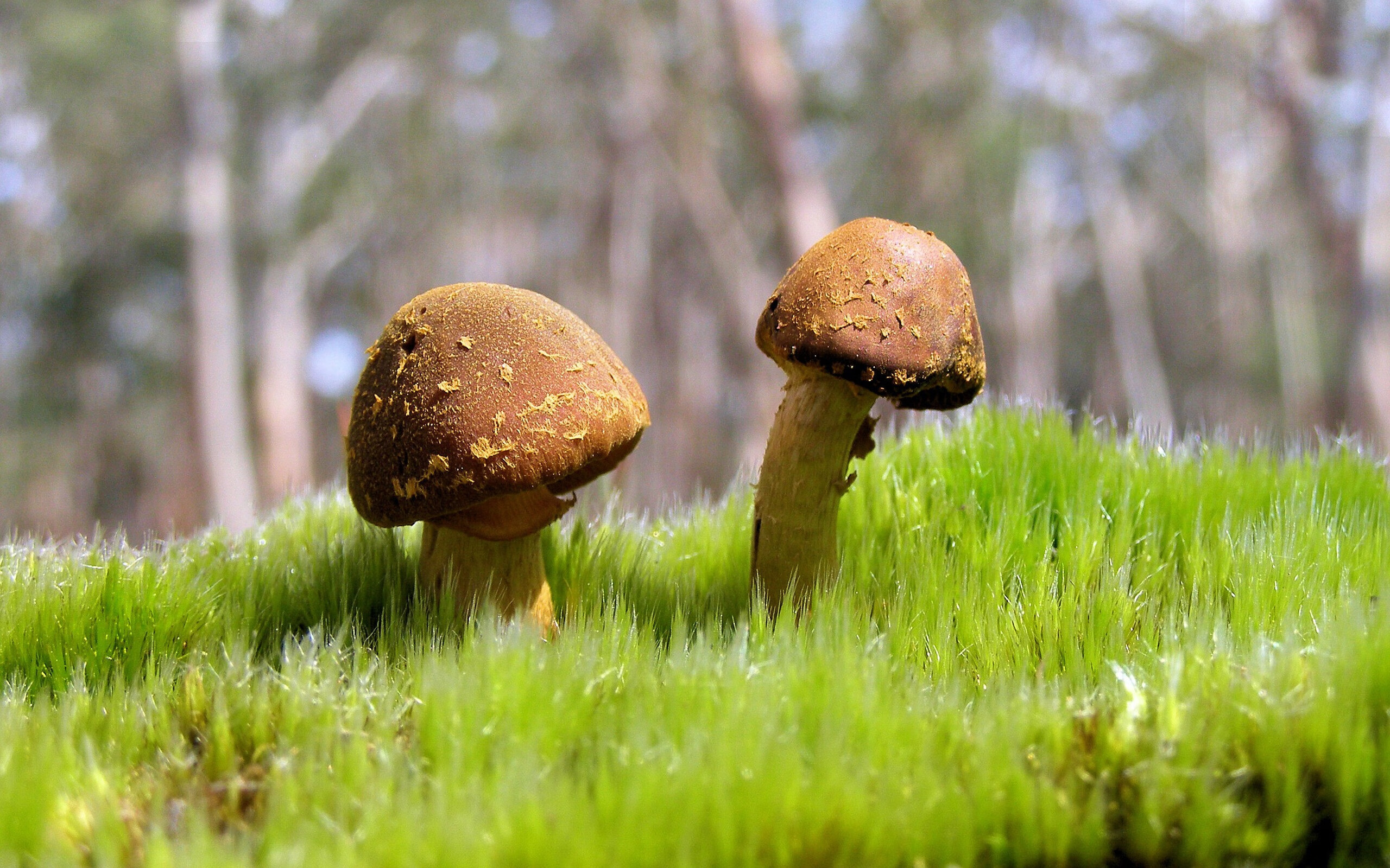 开云·体育全站登录地址-_世界排名激烈变动，新生代球员崛起冲击传统强者_，2021世界球星