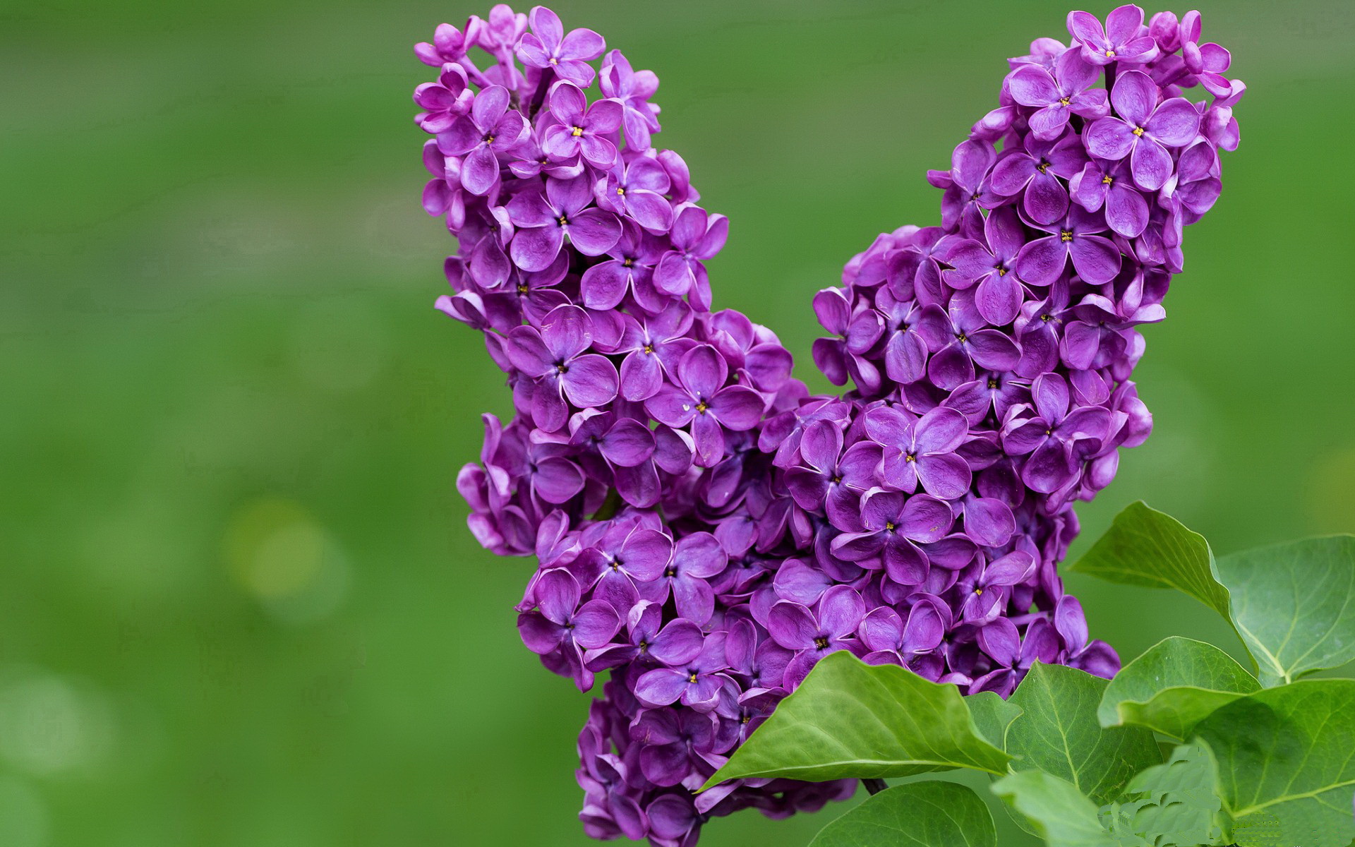 开云官方网页登录-_勇士队三分狂潮席卷全场，领先优势扩大_，勇士三分球最准的是谁