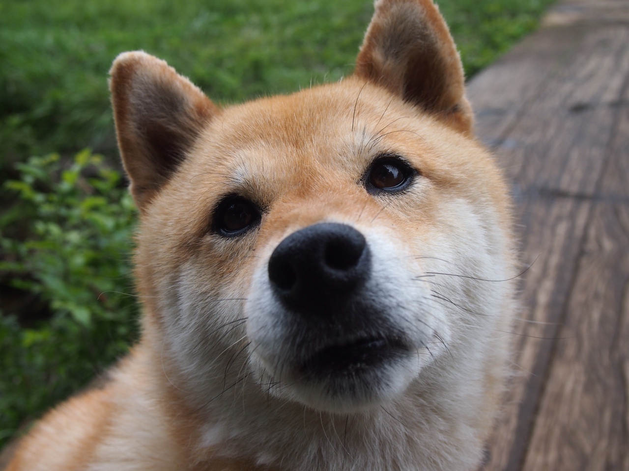 开云体育网页版入口-“传奇车队”背后的故事：那些被铭记的辉煌时刻，传奇汽车公司游戏彩蛋