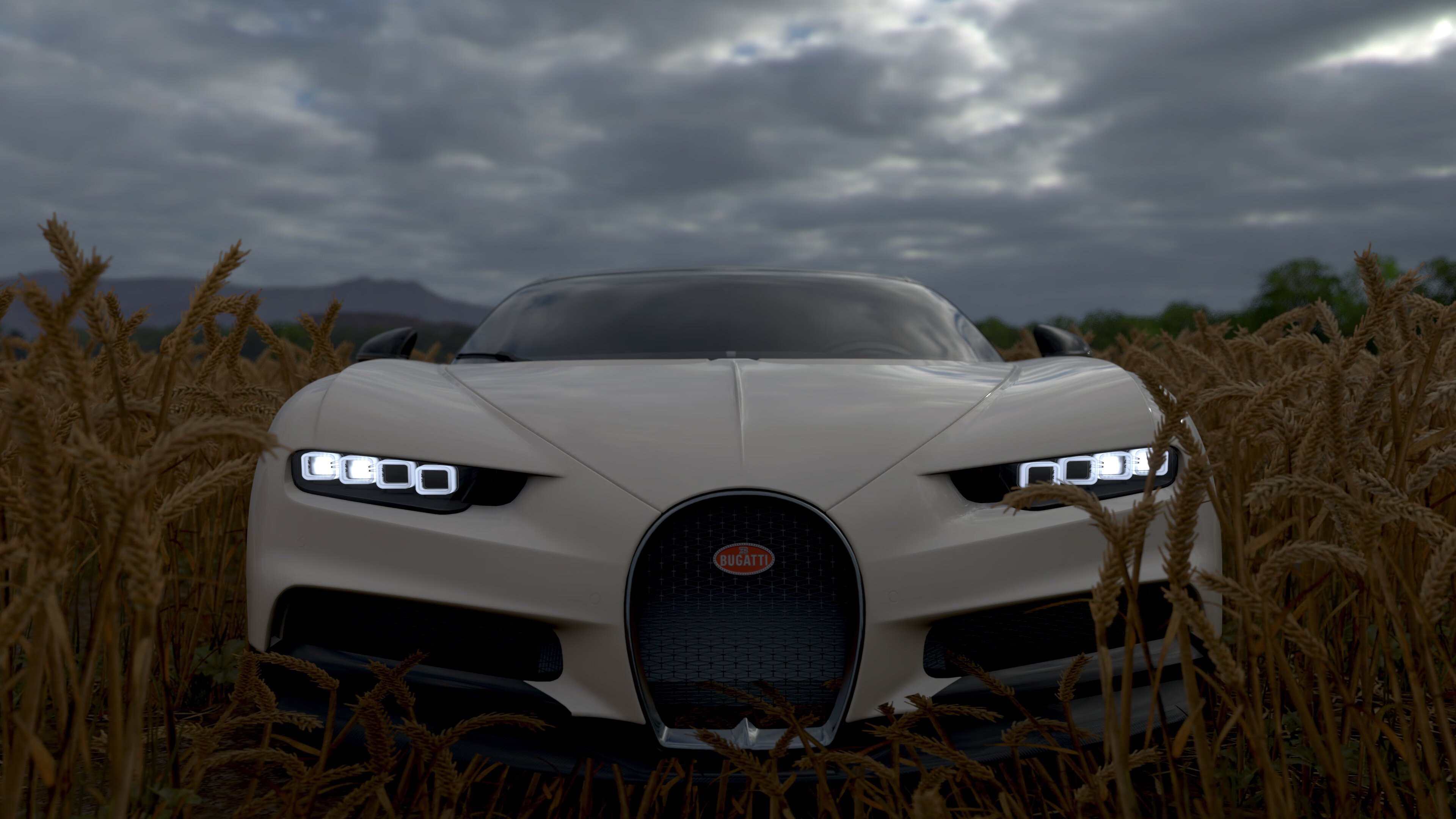 开云官网登录-“泥泞狂潮：雨后泥地的极速追逐”，泥泞狂摆鱼