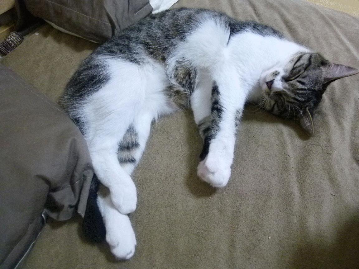 开云平台-《比赛现场：观众热情点燃整个舞台》，观众在比赛现场用英语怎么说