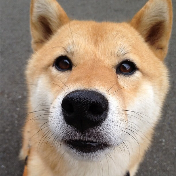 kaiyun体育综合-中国篮球媒体报道质量显著提升，中国篮球产业