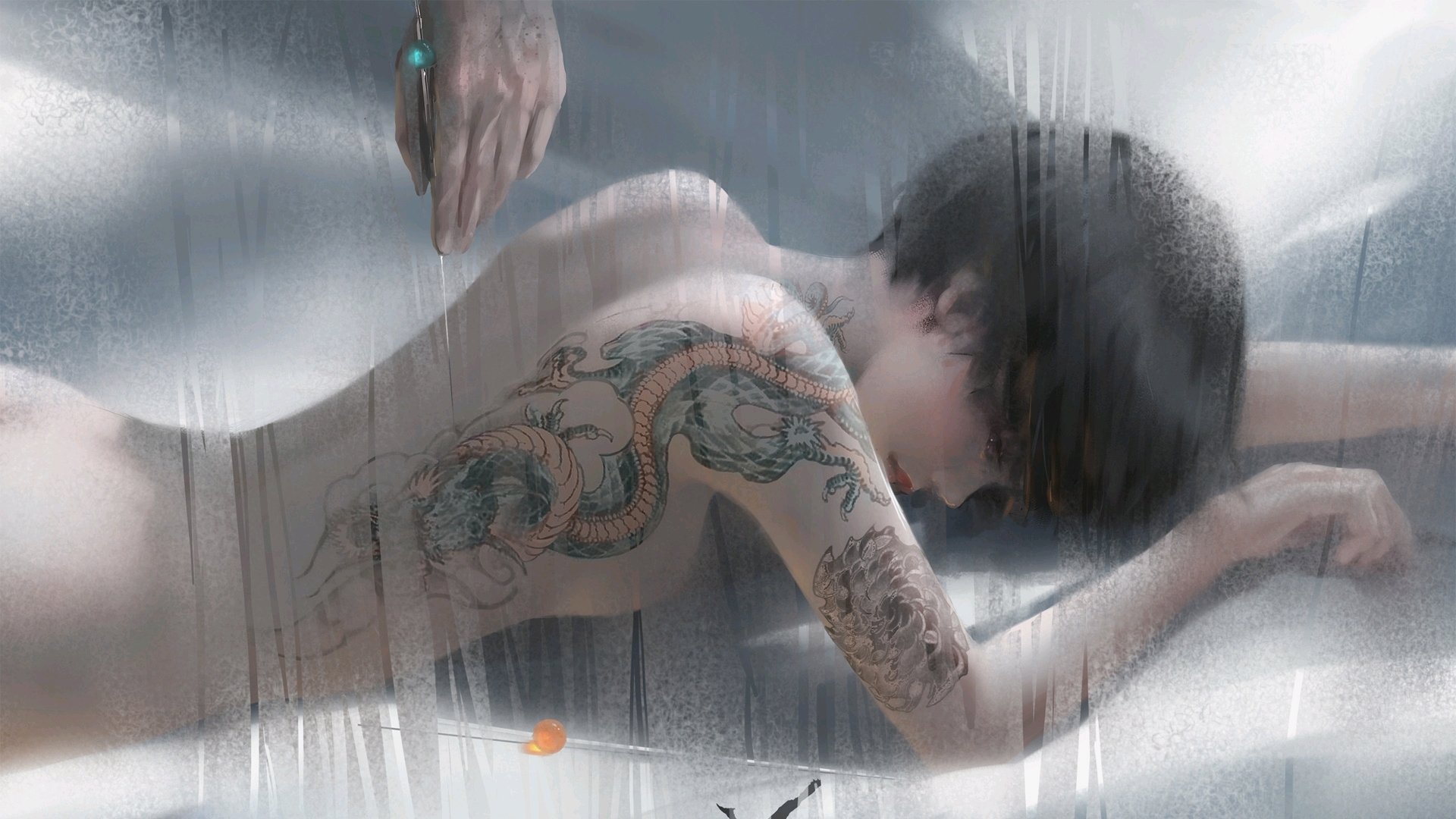 美国传统马术赛事“Mustang Challenge”在拉斯维加斯成功举办，吸引众多观众参与。