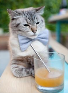 开云首页登录-英雄本色：比赛中最具英雄气概的瞬间，英雄本色指什么