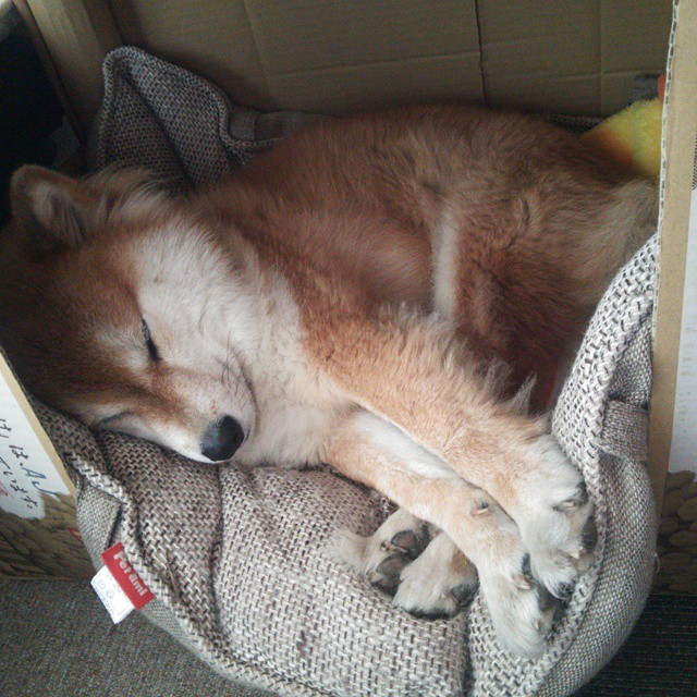 kaiyun登录入口-利物浦-大胜热刺，萨拉赫梅开二度领衔，利物浦与热刺足球比分预测