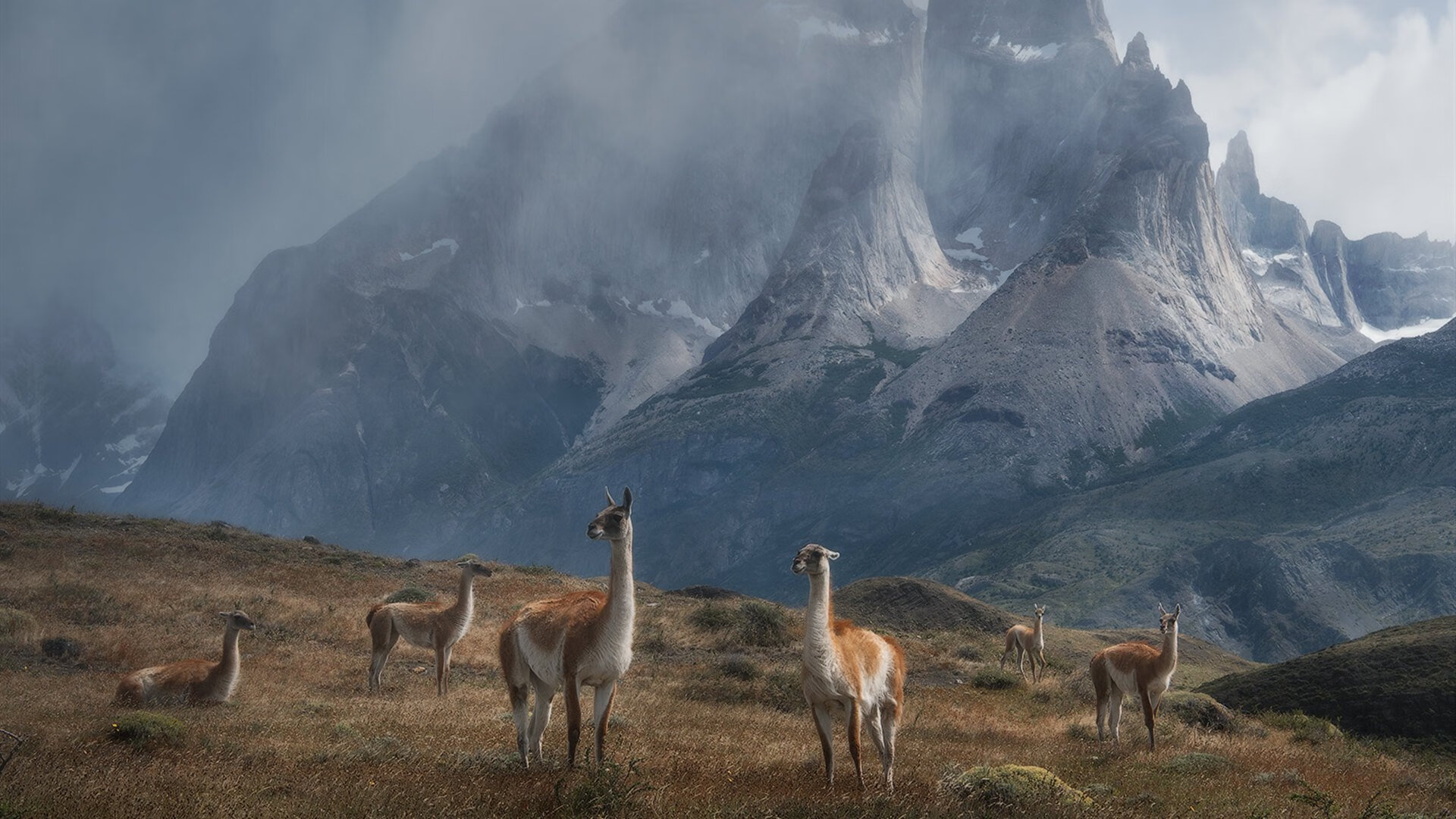开云APP-阿根廷队主场战胜荷兰队获得友谊赛胜利，阿根廷队主场战胜荷兰队获得友谊赛胜利的球队