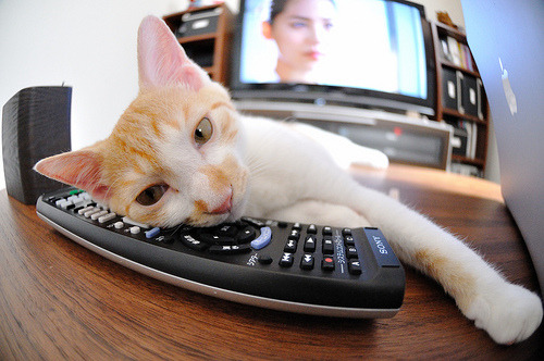 开云体育在线赛事直播-阿森纳球员阿森纳因红牌被停赛，阿森纳 厂