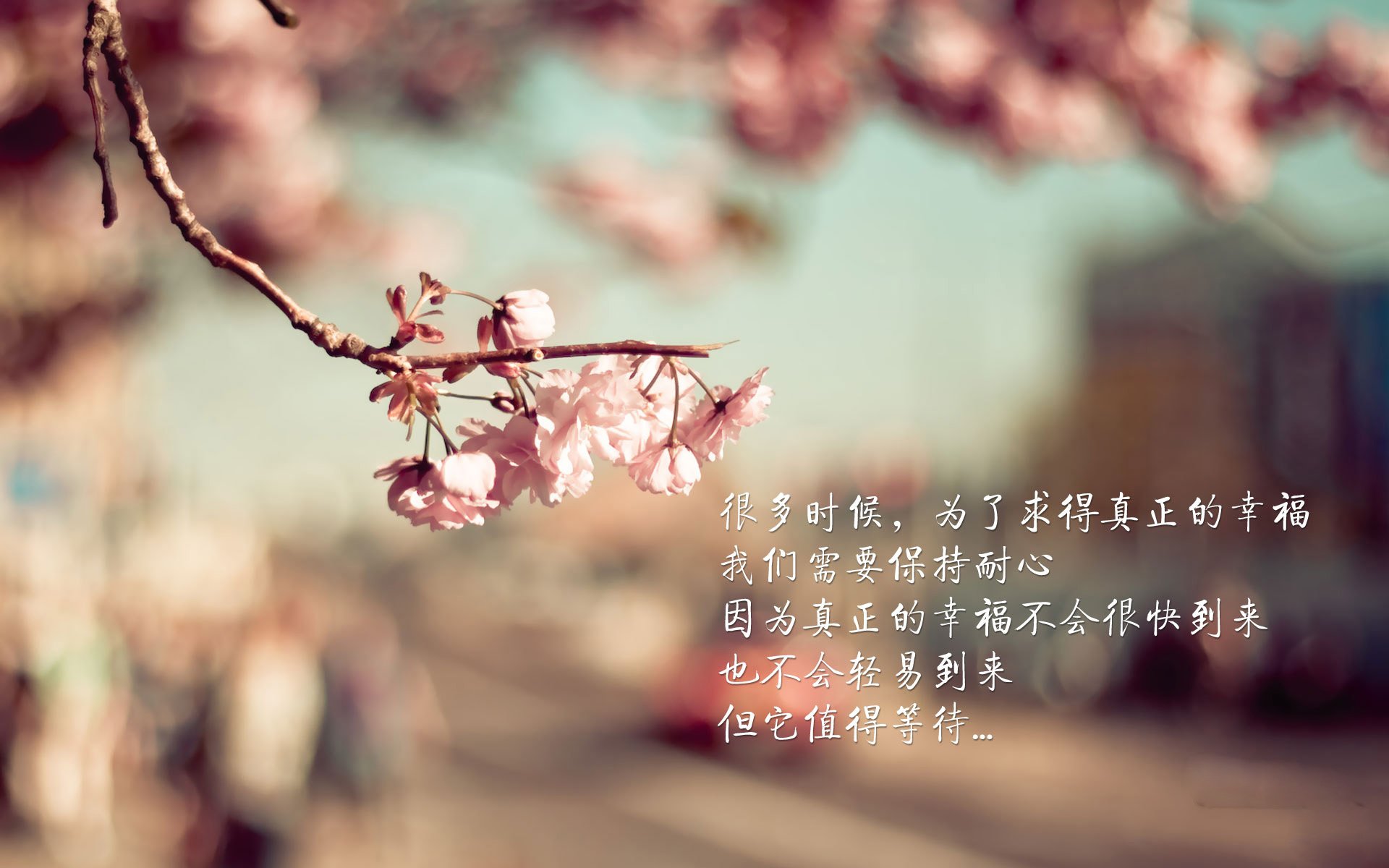 开云网站-CBA球队加强球员心理辅导，篮球心里训练的重要性