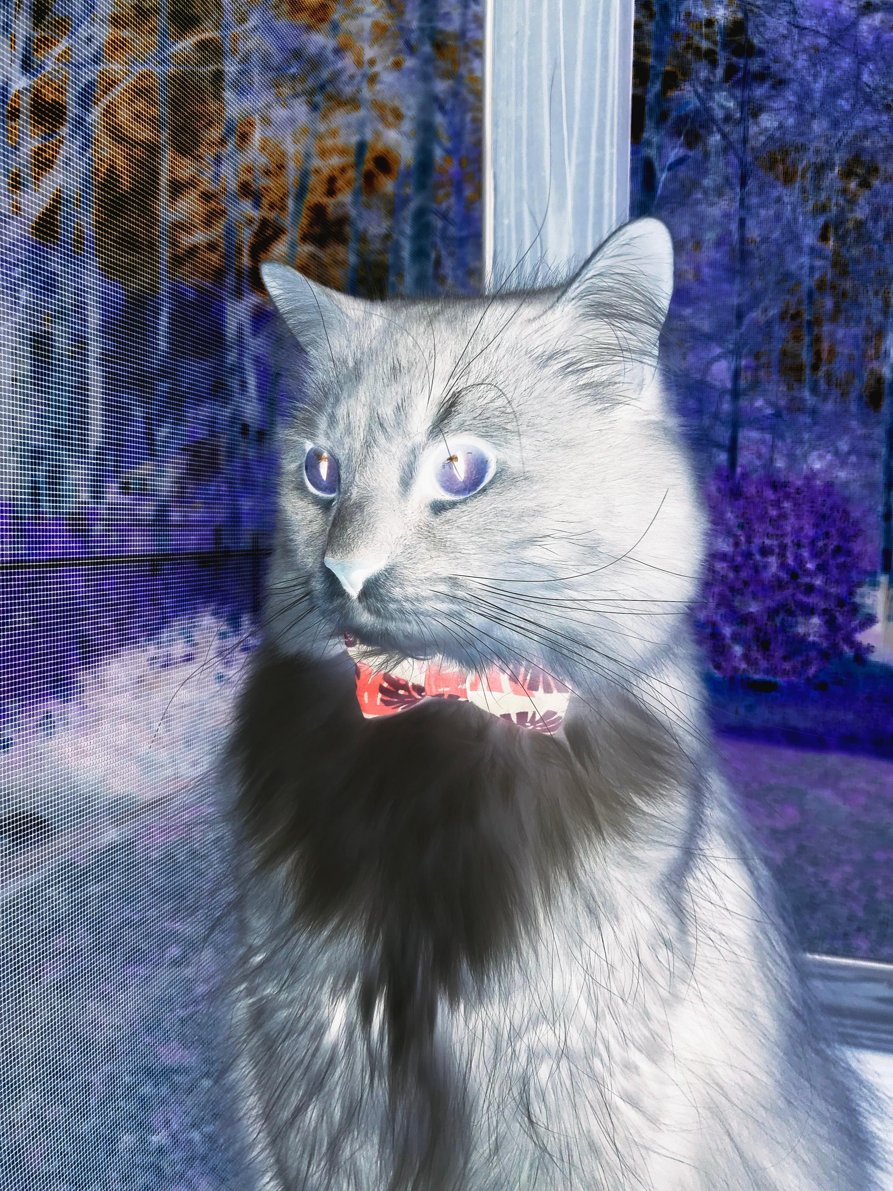 开云·体育官方网站入口-体育新闻中心构建赛事转播辅助AI字幕系统，体育转播用语