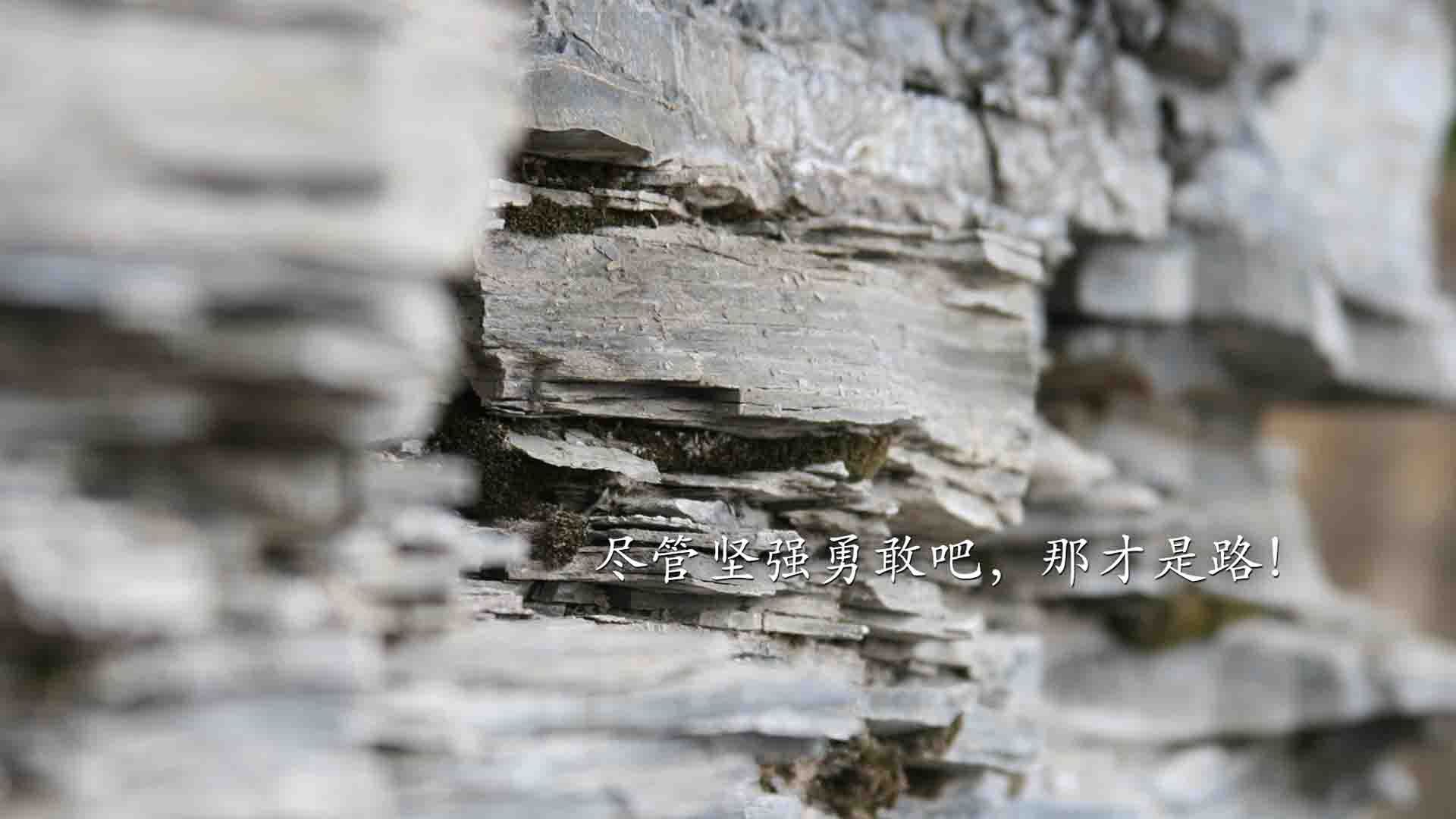 开云网页版-那不勒斯攻防节奏切换更加流畅，那不勒斯阵型图2020