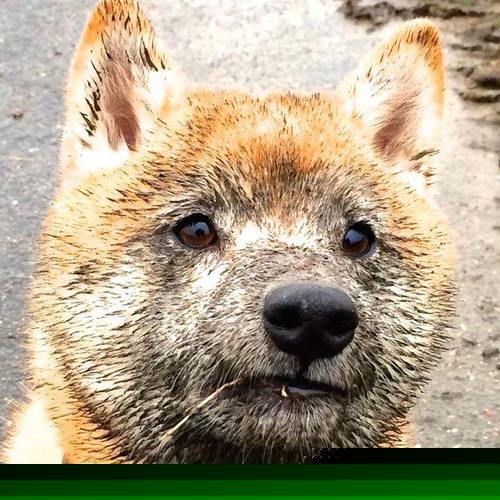 开云网页版-中国女排训练后组织心理辅导课程，中国女排的心理教练是谁