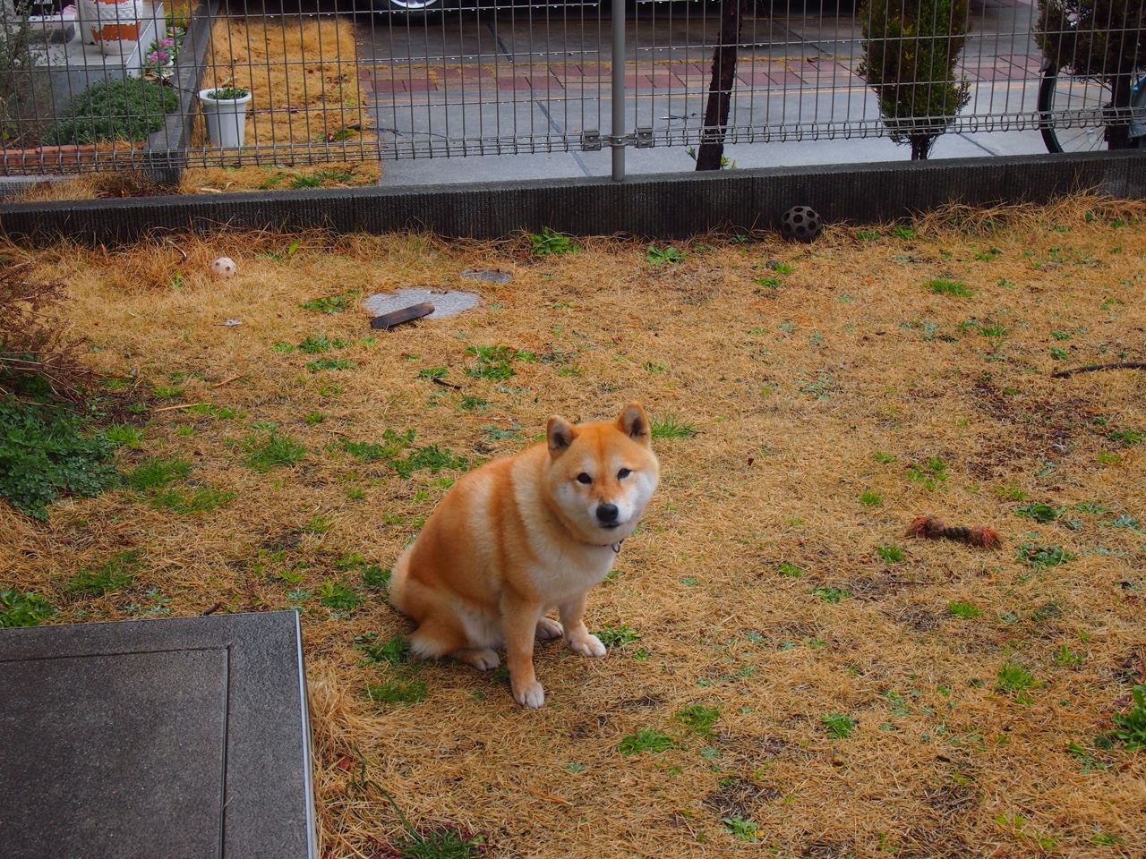 开云体育APP下载-中超新赛季官方主题为青春奋进点燃足球梦想，2020年中超联赛口号