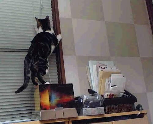 开云·体育官网-平台内容策划引入数据可视化讲解战术知识提升传播专业度，数据可视化平台解决方案